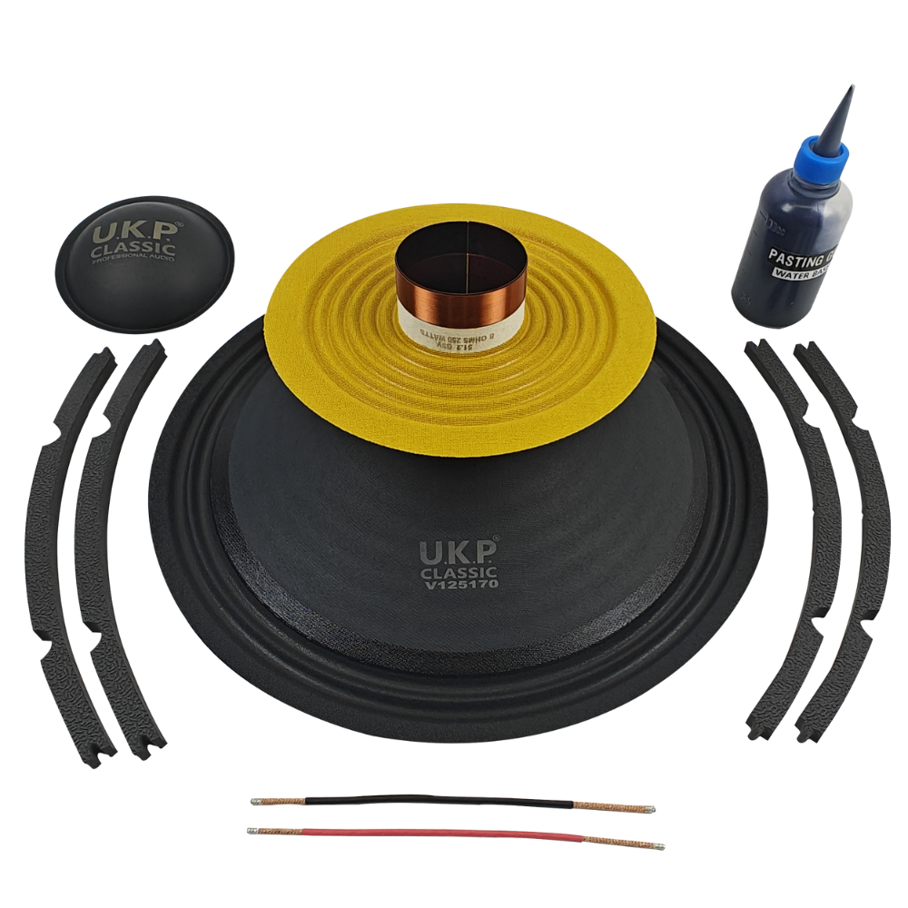 12 Inch V125170 Speaker Recone Kit