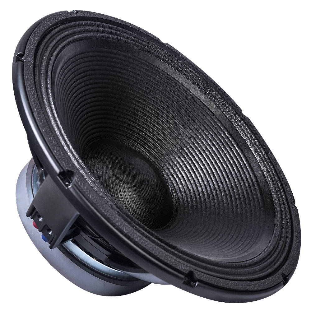 18" ZA-18X451 Black Professional PA Speaker
